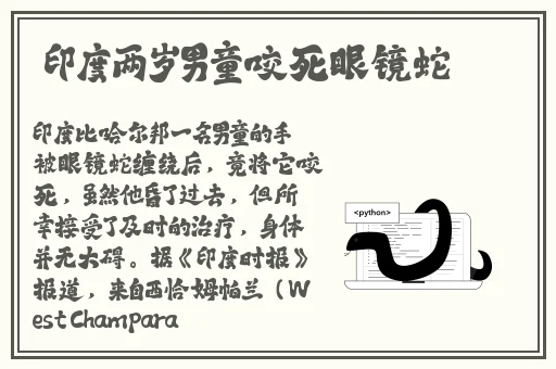 打扑克电影解说